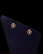 Glee Royal Embrace Diamonds Earrings